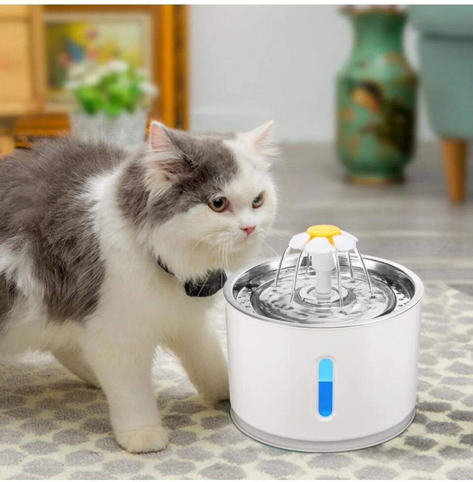 USB Powered Cat Water Fountain - QZ Pets