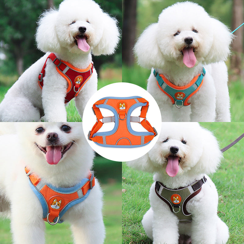 Reflective Pet Harness And Leash Set - QZ Pets