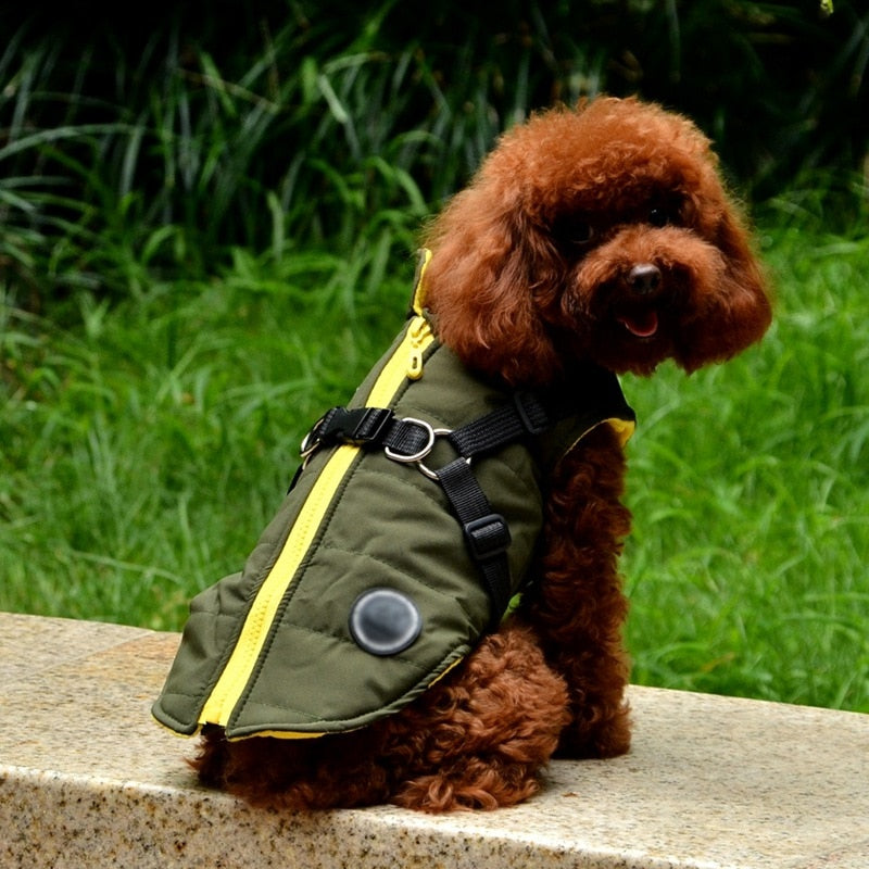 Waterproof Pet Coat with Harness - QZ Pets