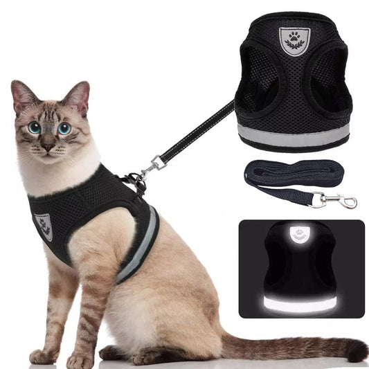 CozyCat Pet Harness and Leash Combo - QZ Pets