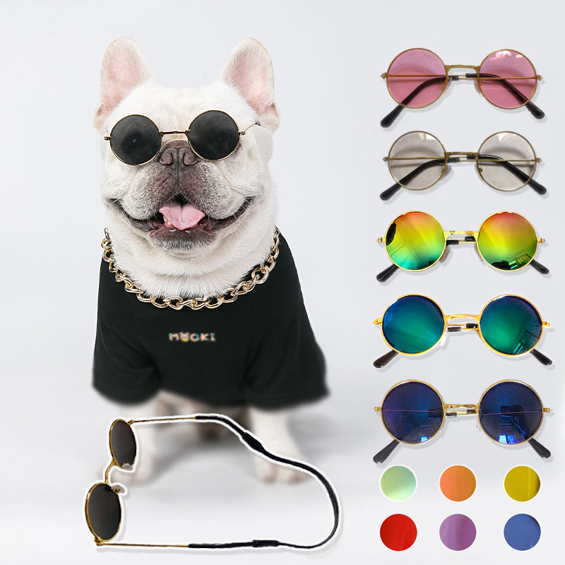 Pet Sunglasses - QZ Pets