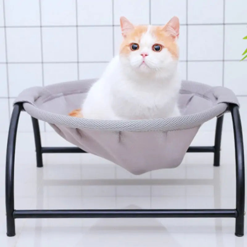 Iron Frame Pet Hammock - QZ Pets