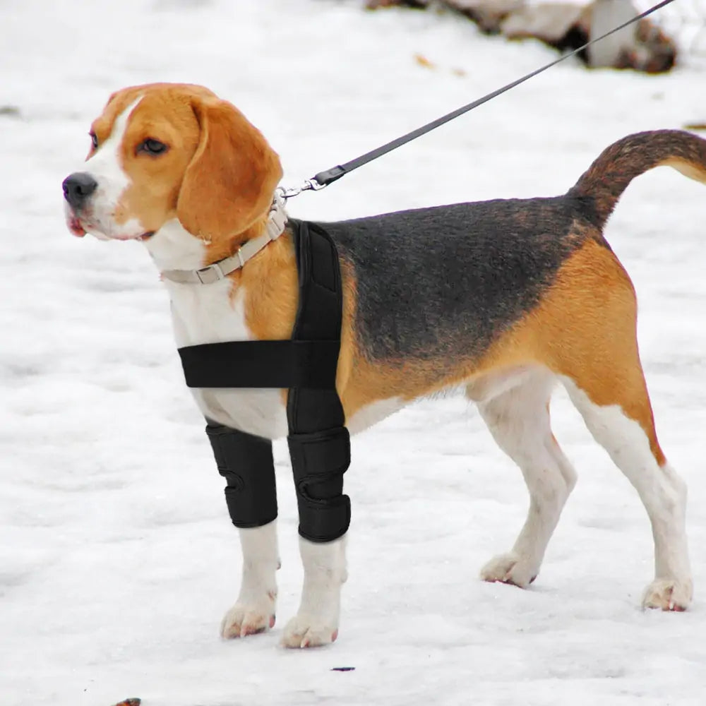 Pet Leg Support Brace - QZ Pets