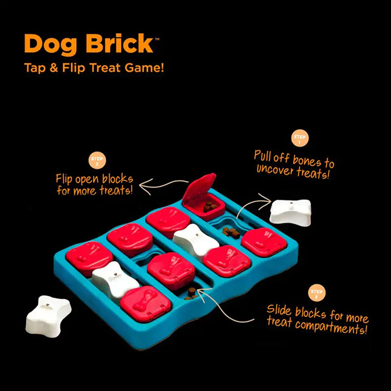 Pet Treasure Box Toy - QZ Pets