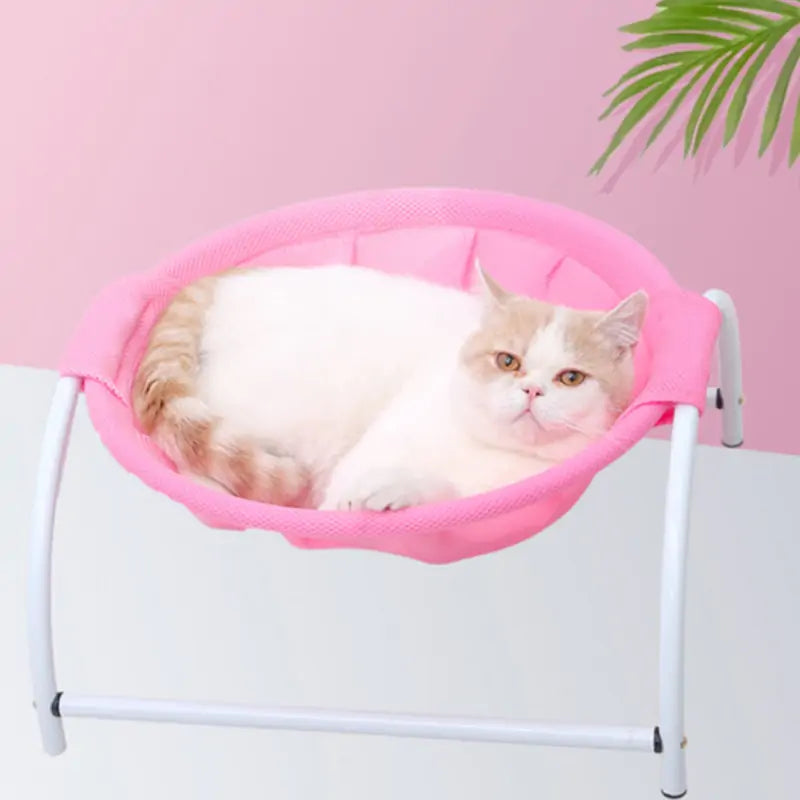 Iron Frame Pet Hammock - QZ Pets