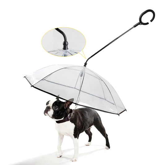 Transparent Pet Umbrella - QZ Pets
